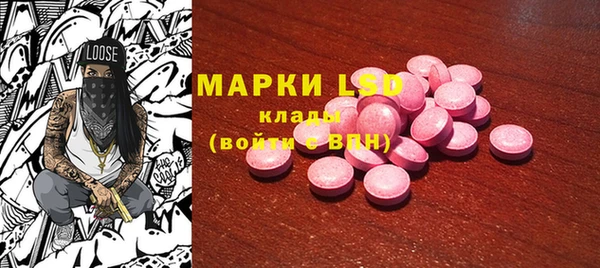 ПСИЛОЦИБИНОВЫЕ ГРИБЫ Медвежьегорск