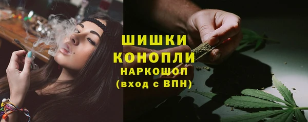 герыч Мегион