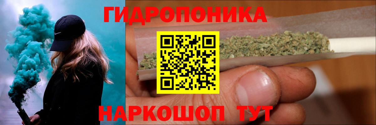 Шишки марихуана сатива  Марихуана ГИДРОПОН  МАРИХУАНА план  Марихуана планчик  Кизляр  Вход с VPN 